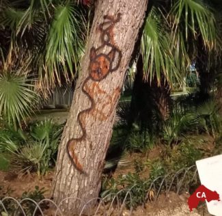 Baby vandali in pineta al Passetto: con la bomboletta imbrattano anche gli alberi – Cronache Ancona
