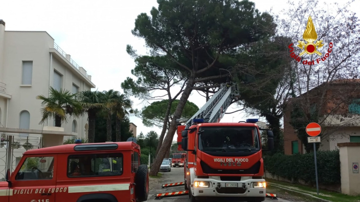 Vento forte, alberi pericolanti e mareggiate: la situazione a Senigallia – CentroPagina