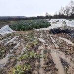 Coldiretti Marche, i fiumi tornano a far paura: raccolti a rischio - Marche Notizie