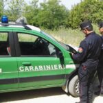 Carabinieri forestali Marche, cambio al vertice. Roberto Nardi è il nuovo comandante regionale - CentroPagina