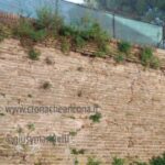 Bastione di San Pietro, le mura sono pericolose, chiesta la messa in sicurezza - Cronache Ancona