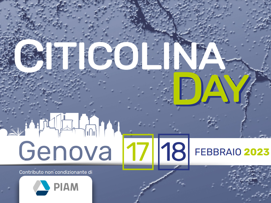 CITICOLINA DAY 2023: Parkinson e non solo, le ultime ricerche internazionali su una molecola importante per la neuroprotezione. CITICOLINA DAY 2023: Parkinson e non solo, le ultime ricerche internazionali su una molecola importante per la neuroprotezione.