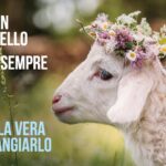 Campagna Oipa: “Se non mangi l'Agnello, la Pasqua è sempre la stessa” - Agenpress