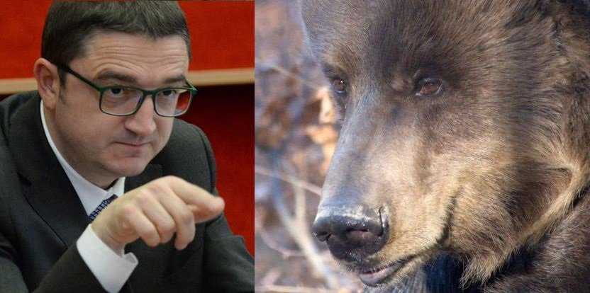 Runner morto. Fugatti annuncia vendetta contro gli orsi. “Non mi preoccupa il benessere degli animali” – Agenpress